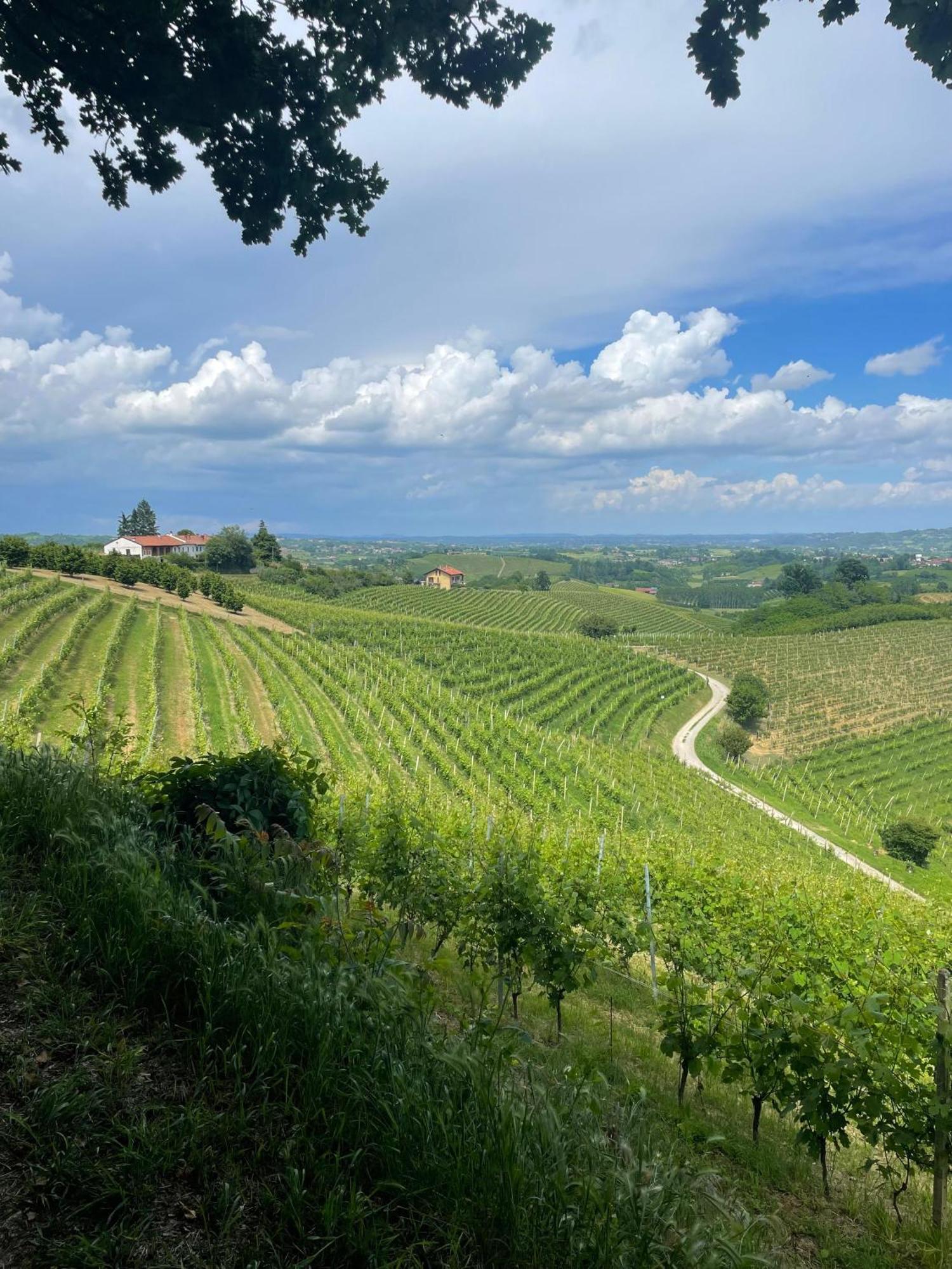 Ca' Colomba Villa San Damiano dʼAsti Dış mekan fotoğraf